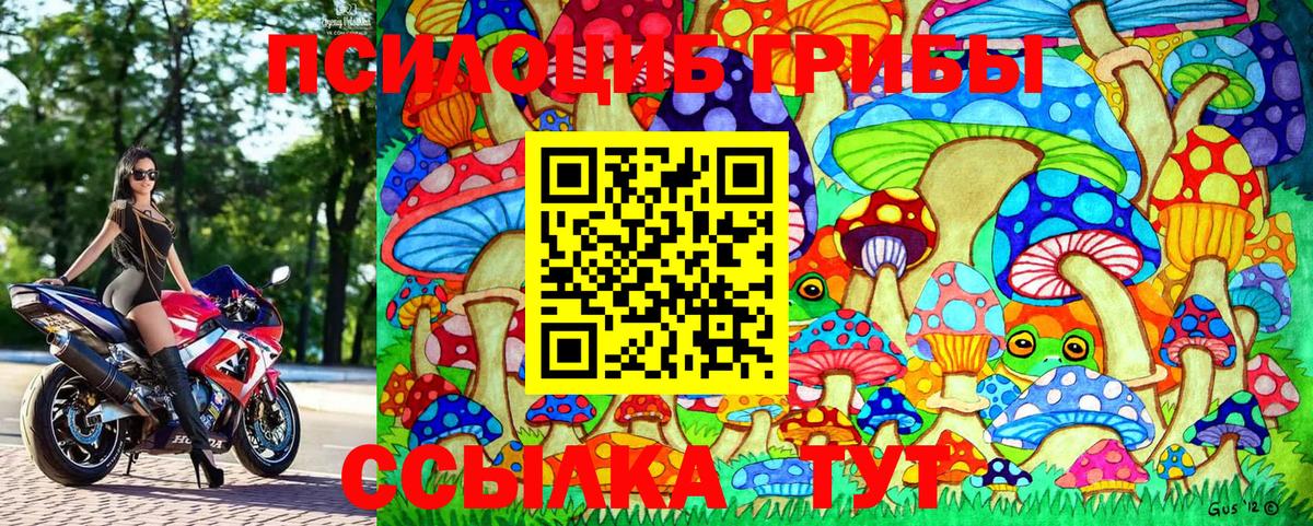 Галлюциногенные грибы Cubensis Лысьва